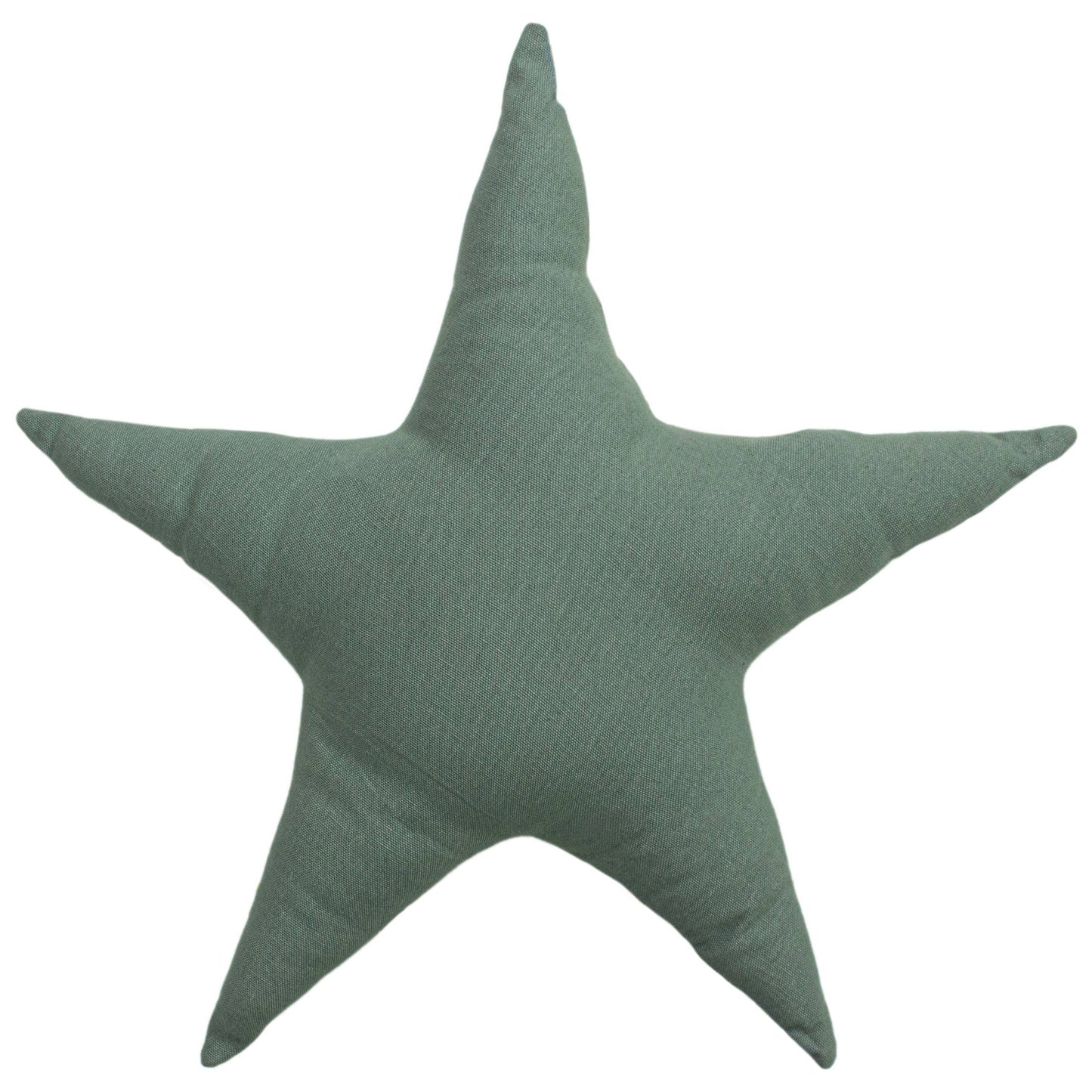 reverse view green